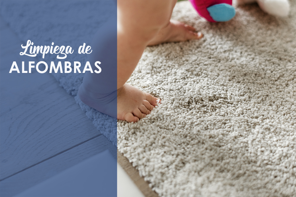 Desinfectar alfombras en Jerez